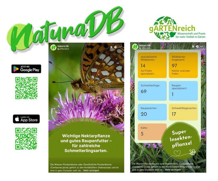 App Natura DB