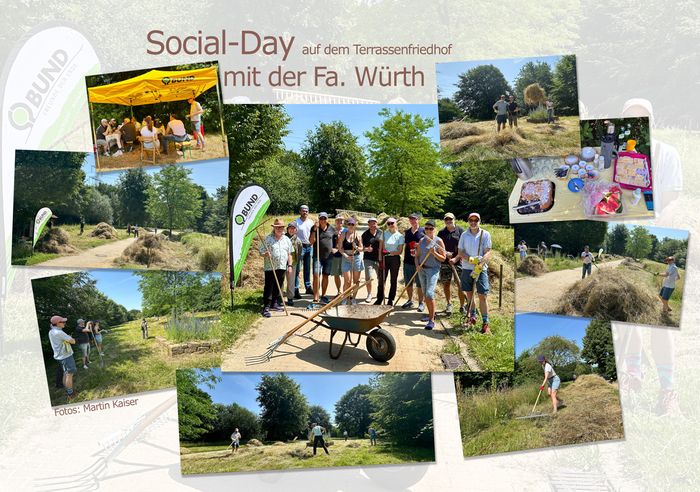 Social Day auf der Wiese