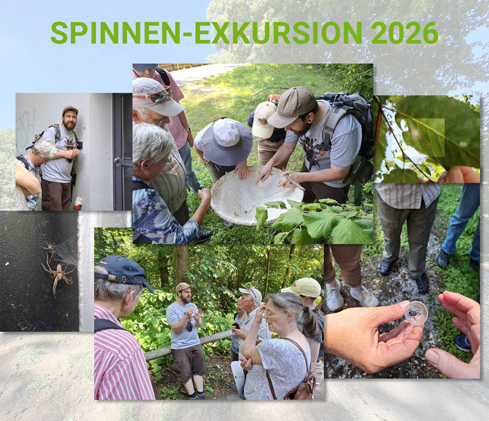 Spinnen-Exkursion im Deilbachtal