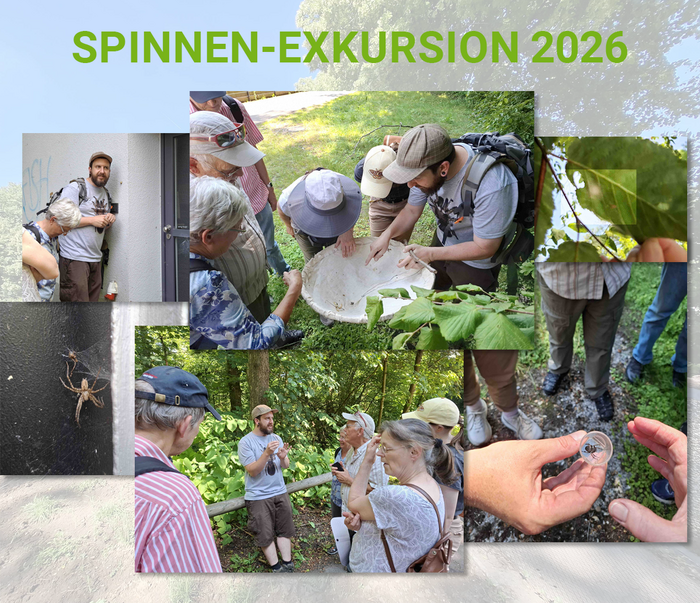 Spinnen-Exkursion im Deilbachtal