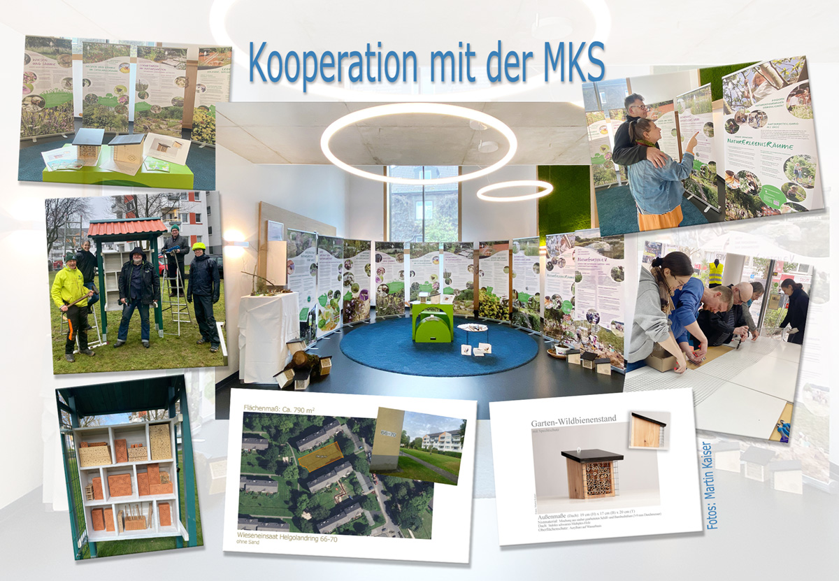 Kooperation mit MKS